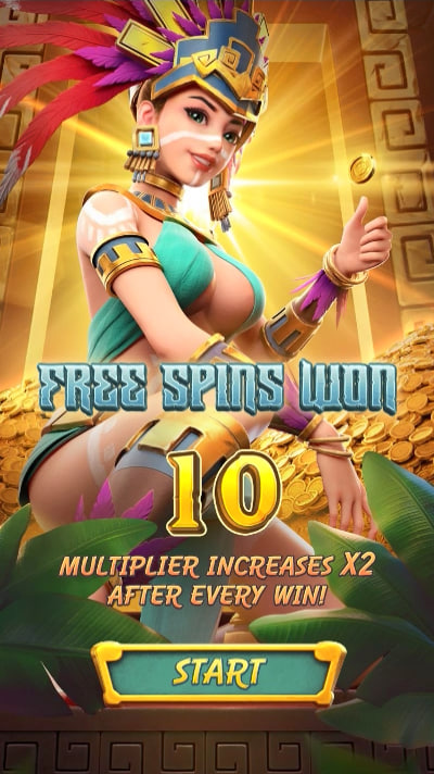 Bet364 com