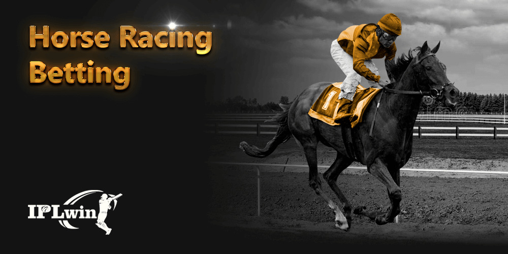 31bet login